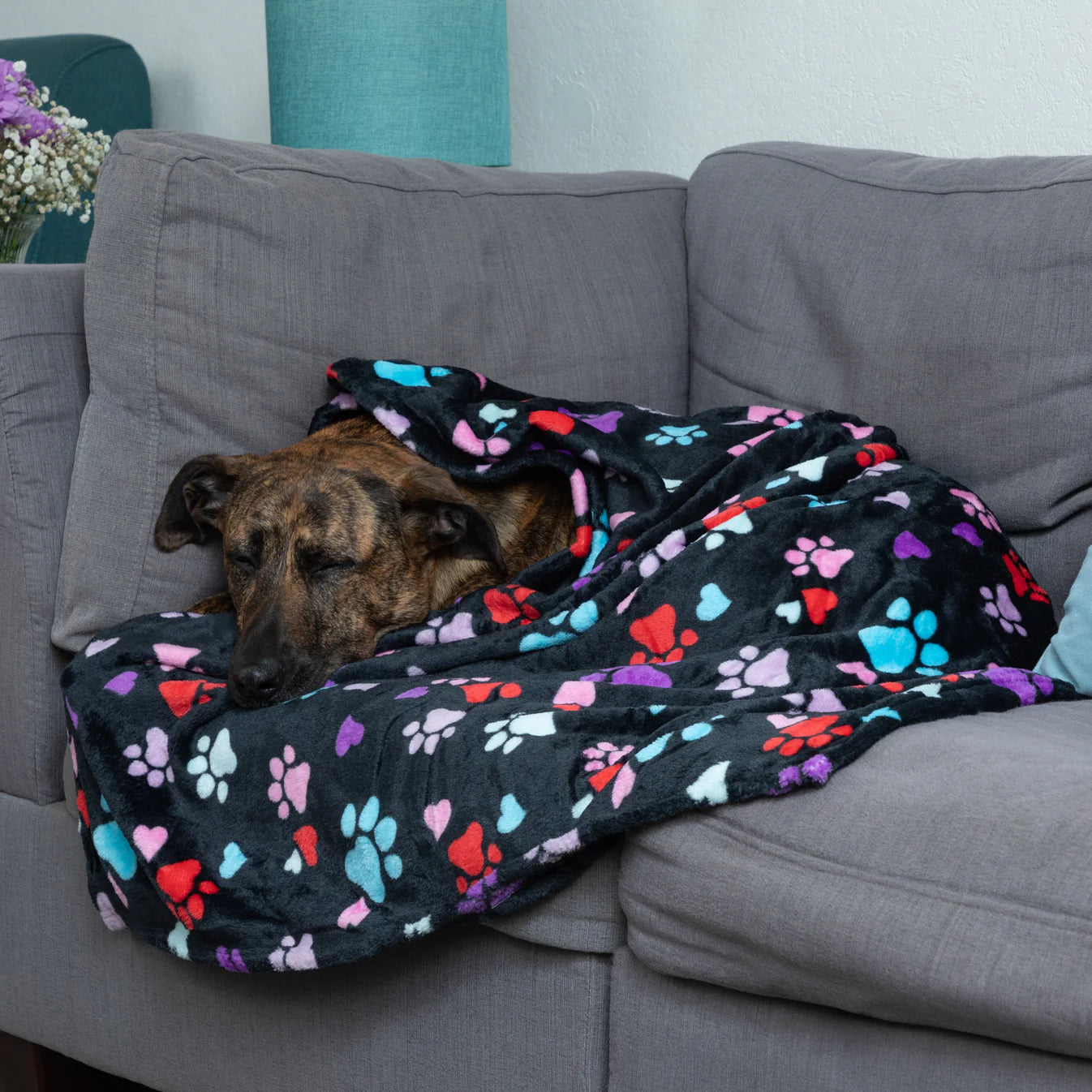 Pet Blanket - Large