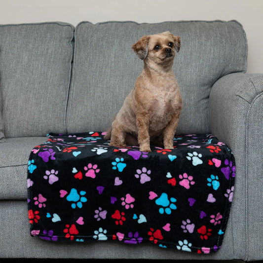 Pet Blanket - Large