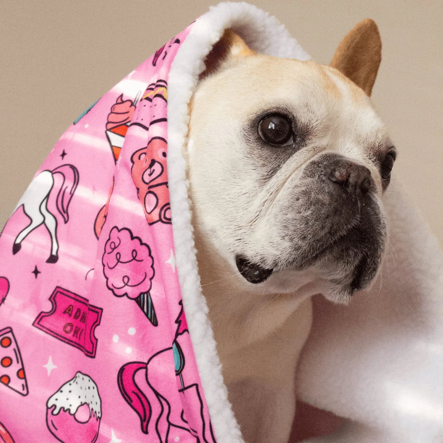 Pet Blanket - Size Medium