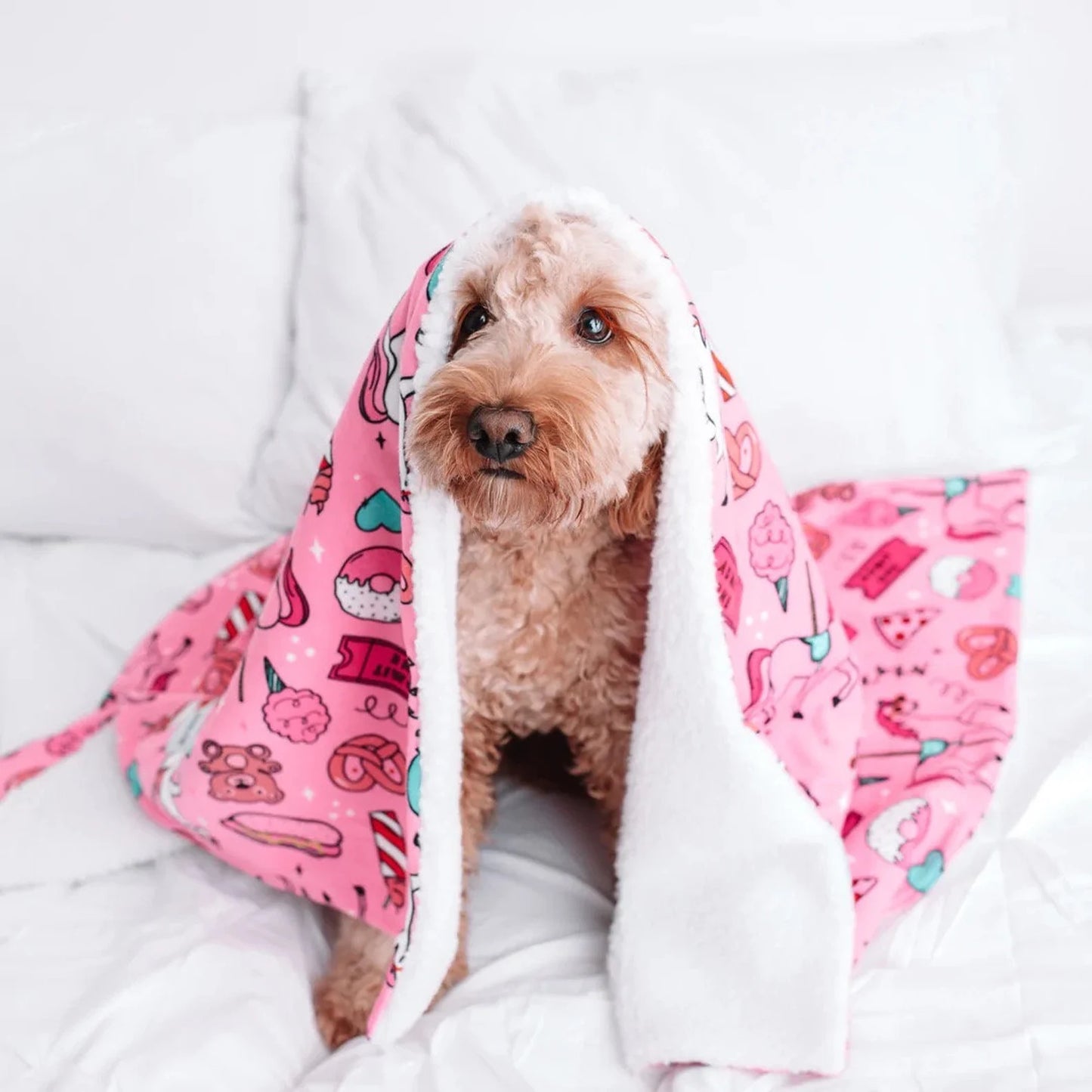Pet Blanket - Size Medium